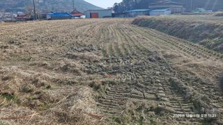 이현목님의 벼 · 영농일지 작성글 사진