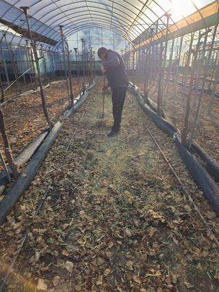 한혜경님의 기타작물 · 영농일지 작성글 사진