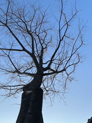 이익수님의 기타작물 · 영농일지 작성글 사진