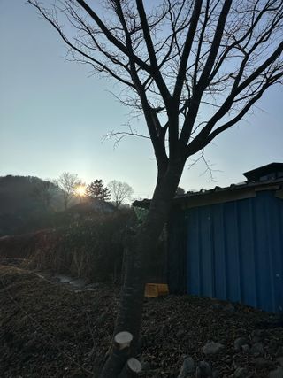 이익수님의 기타작물 · 영농일지 작성글 사진