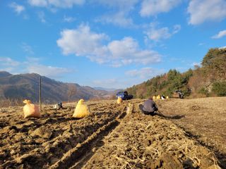 이름유순옥님의 기타작물 · 영농일지 작성글 사진