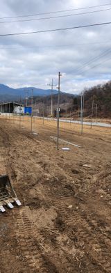 팜모닝 사과·영농일지 게시글 이미지