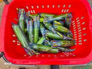 늘햇살팜 님의 기타작물 · 영농일지 작성글 사진