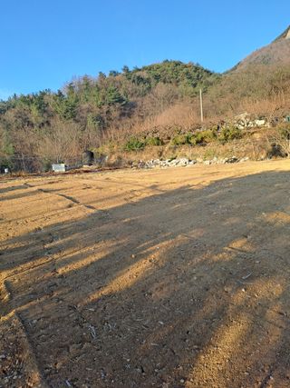 김금옥님의 기타작물 · 영농일지 작성글 사진