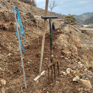 가로수님의 기타작물 · 영농일지 작성글 사진