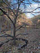 팜모닝 기타작물·영농일지 게시글 이미지