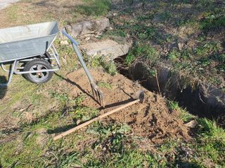 경포일출님의 기타작물 · 영농일지 작성글 사진