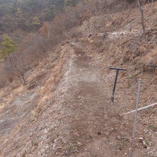 가로수님의 기타작물 · 영농일지 작성글 사진