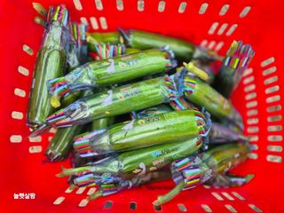 늘햇살팜 님의 기타작물 · 영농일지 작성글 사진