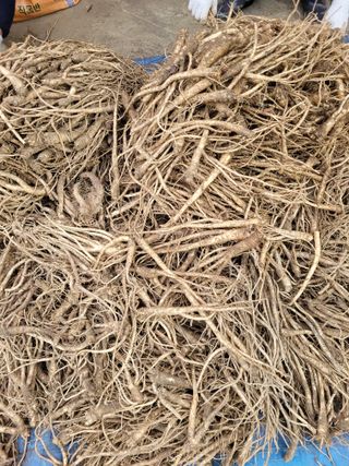 이름유순옥님의 기타작물 · 영농일지 작성글 사진