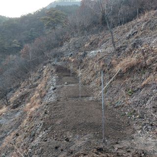 가로수님의 기타작물 · 영농일지 작성글 사진