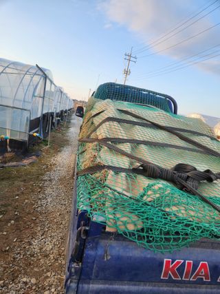 김저팔계님의 파 · 영농일지 작성글 사진