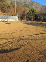 팜모닝 기타작물·영농일지 게시글 이미지