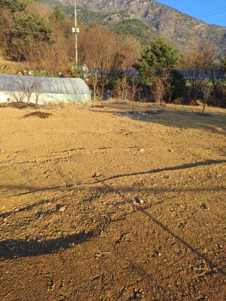 김금옥님의 기타작물 · 영농일지 작성글 사진