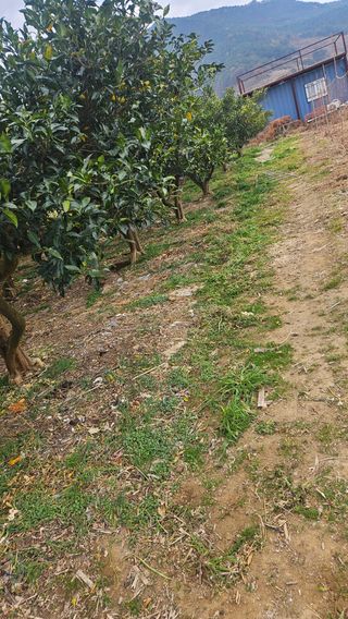 옥재벌님의 기타작물 · 영농일지 작성글 사진