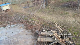 가야산아래촌농님의 기타작물 · 영농일지 작성글 사진