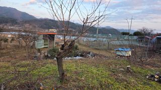 가야산아래촌농님의 기타작물 · 영농일지 작성글 사진