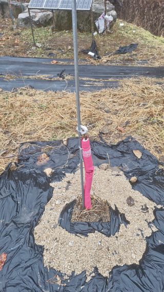 산수유재배님의 사과 · 영농일지 작성글 사진