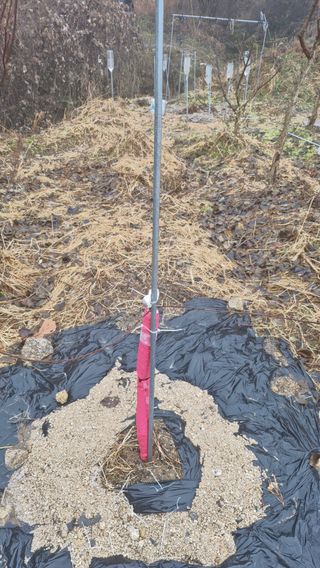 산수유재배님의 사과 · 영농일지 작성글 사진