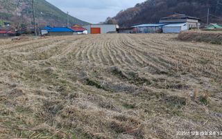 이현목님의 벼 · 영농일지 작성글 사진