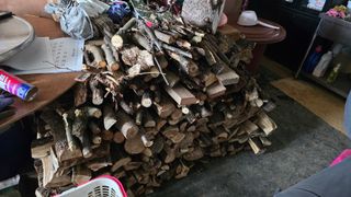 대박농장신초시님의 기타작물 · 영농일지 작성글 사진