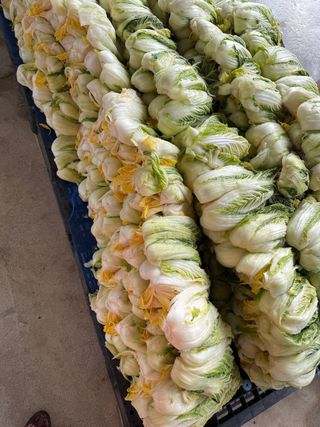 유혜영님의 배추 · 영농일지 작성글 사진