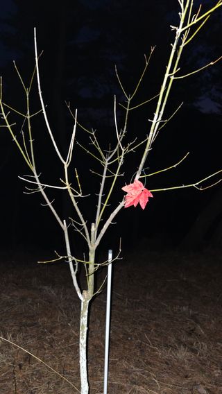 신승우님의 기타작물 · 영농일지 작성글 사진