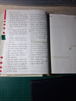 신현효님의 기타작물 · 자유게시판 작성글 사진