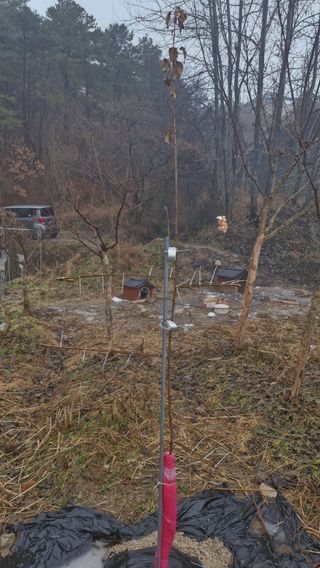 산수유재배님의 사과 · 영농일지 작성글 사진