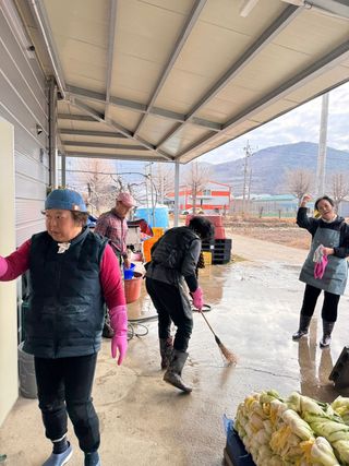 유혜영님의 배추 · 영농일지 작성글 사진