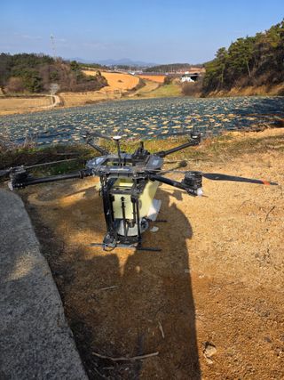 정기호님의 양파 · 영농일지 작성글 사진