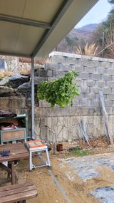 팜모닝 기타작물·영농일지 게시글 이미지