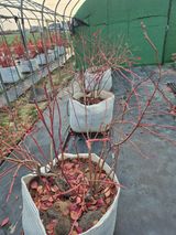 박영희님의 작성글 사진