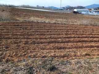 열매님의 기타작물 · 영농일지 작성글 사진