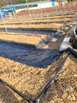 박치문님의 작성글 사진