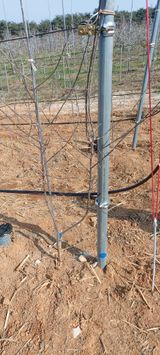 팜모닝 사과·영농일지 게시글 이미지