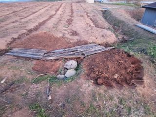 이용찬 열매마농원님의 기타작물 · 영농일지 작성글 사진