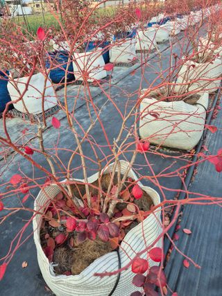 박영희님의 작성글 사진