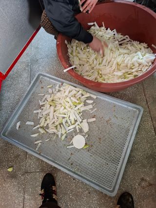 결단이님의 기타작물 · 영농일지 작성글 사진