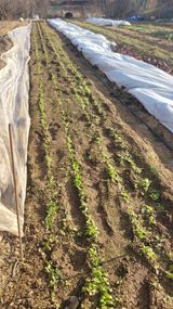 탱크로리유대식님의 작성글 사진