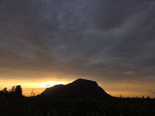 산방자연농원님의 귤 · 영농일지 작성글 사진