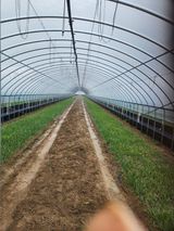 김저팔계님의 작성글 사진