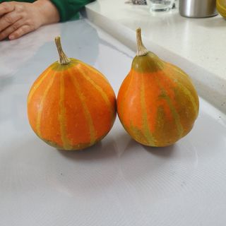 시민농장님의 기타작물 · 영농일지 작성글 사진