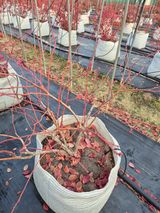 박영희님의 작성글 사진