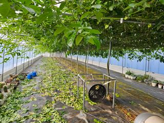 박미라님의 기타작물 · 영농일지 작성글 사진