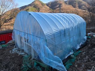 서보석님의 두릅 · 영농일지 작성글 사진