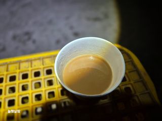 늘햇살팜 님의 기타작물 · 영농일지 작성글 사진