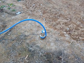 늘솔님의 기타작물 · 영농일지 작성글 사진