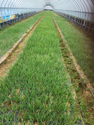 김저팔계님의 작성글 사진