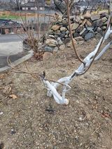 김용대님의 작성글 사진